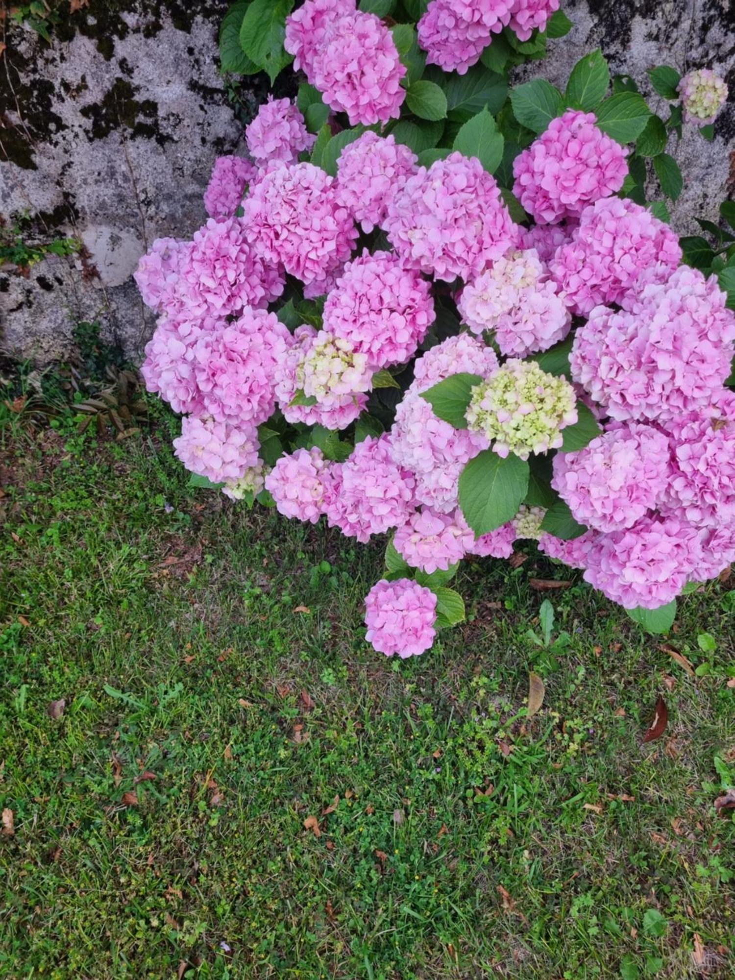 Da Artu' Villa Udine Bagian luar foto